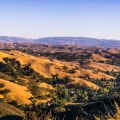 The Best Neighborhoods in Danville, CA: A Local Expert's Guide