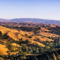 The Best Neighborhoods in Danville, CA: A Local Expert's Guide
