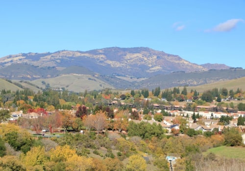 The Best Neighborhoods for Young Professionals in Danville, CA
