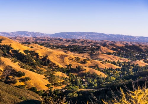 The Best Neighborhoods in Danville, CA: A Local Expert's Guide