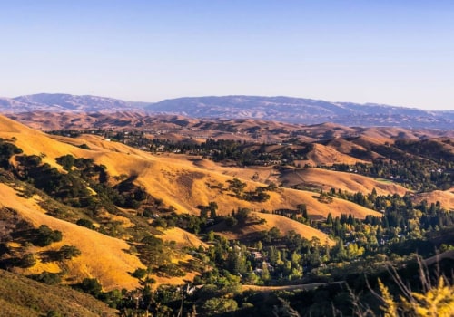 The Best Neighborhoods in Danville, CA: A Local Expert's Guide